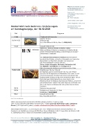 2025-12-14-Heilbronn Weihnachtsmarkt Programm.jpg